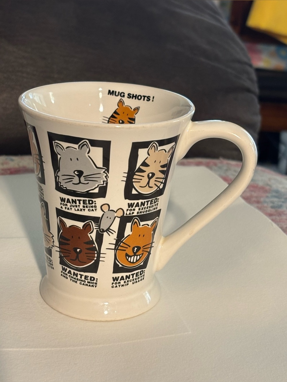 Mug Shots Cat Mug